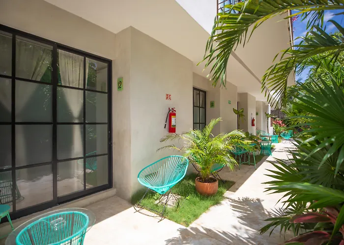 Turquoise (adults Only) 3*