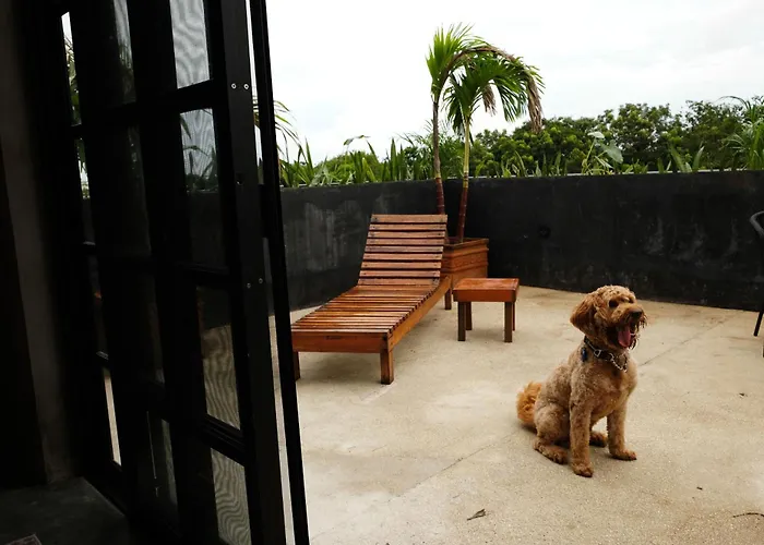 Turquoise (adults Only) 3* Tulum